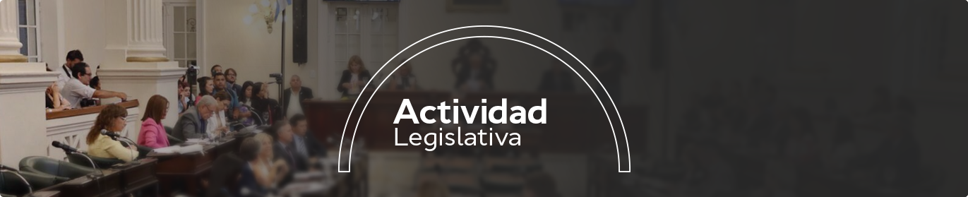 Actividad Legislativa